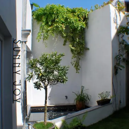 Apartment Blancooonachten Antwerp
