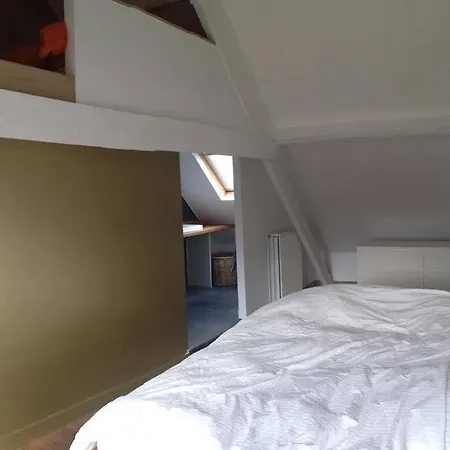 Apartment Blancooonachten